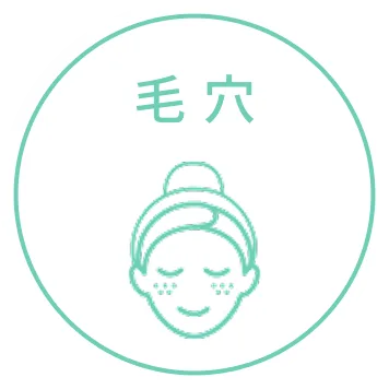 毛穴